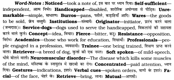 CBSE Class 6 English Unseen Passages Type II 5