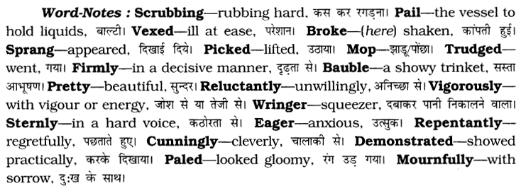 CBSE Class 6 English Unseen Passages Type II 6