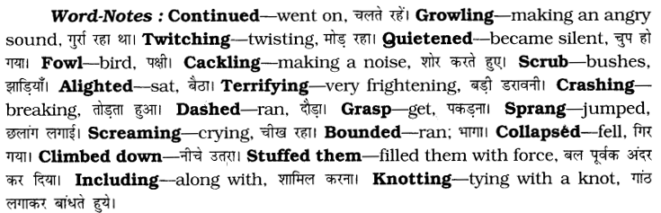 CBSE Class 6 English Unseen Passages Type II 8