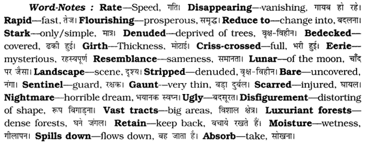 CBSE Class 6 English Unseen Passages Type II 9