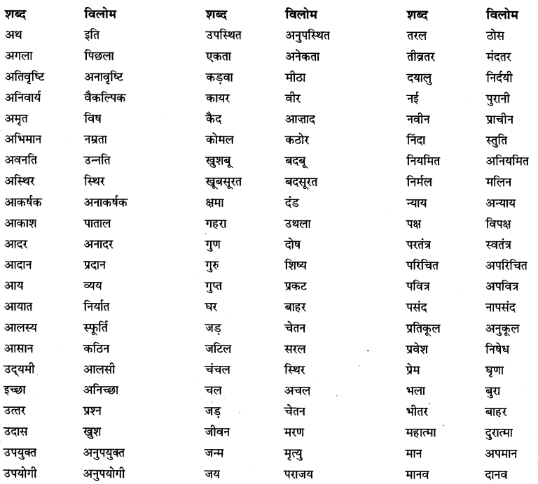 CBSE-Class-6-Hindi-Grammar-शब्द-भंडार-1
