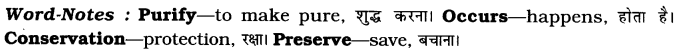 CBSE Class 7 English Article Writing 3
