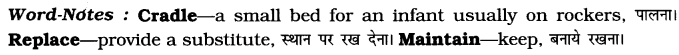 CBSE Class 7 English Article Writing 6