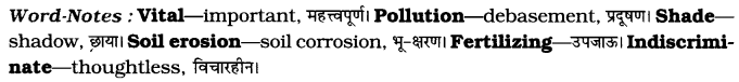 CBSE Class 7 English Email Writing Q3