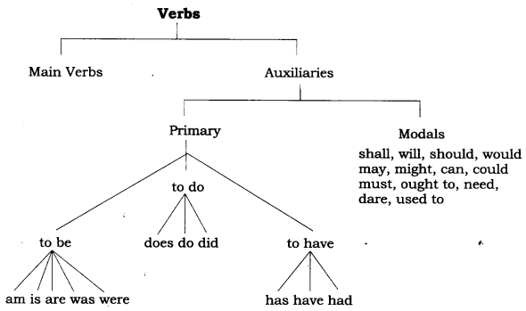 CBSE-Class-7-English-Grammar-Verb