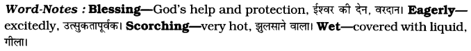 CBSE Class 7 English Paragraph Writing 3