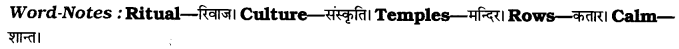CBSE Class 7 English Paragraph Writing 6