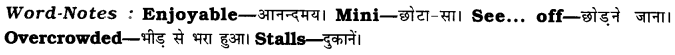CBSE Class 7 English Paragraph Writing 7