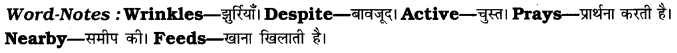 CBSE Class 7 English Paragraph Writing Based on Verbal Input 6