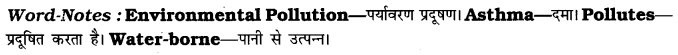 CBSE Class 7 English Paragraph Writing Based on Verbal Input 8