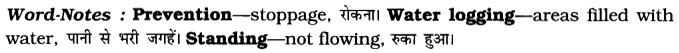 CBSE-Class-7-English-Speech-Writing-Based-on-Verbal-Input-Q1