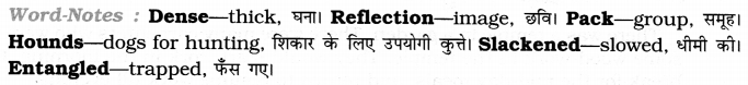 CBSE Class 7 English Story Writing 3.1