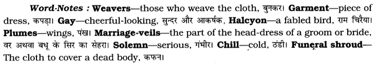 CBSE Class 7 English Unseen Passages Type I 6