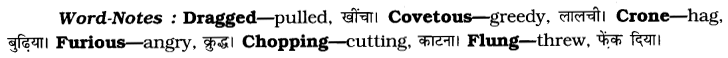 CBSE Class 7 English Unseen Passages Type II 3