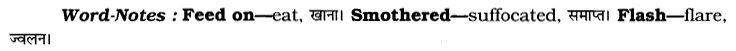 CBSE Class 7 English Unseen Passages Type II 4