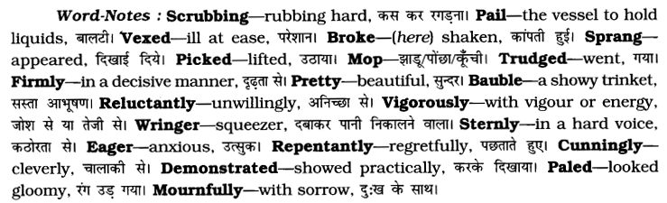 CBSE Class 7 English Unseen Passages Type II 6