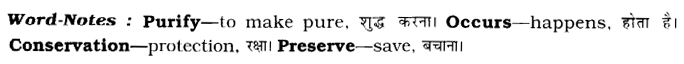 CBSE Class 8 English Article Writing 3