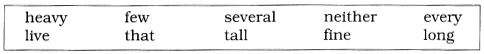 CBSE-Class-8-English-Grammar-Adjective-Exercise-1