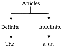 CBSE-Class-8-English-Grammar-Determiners-1