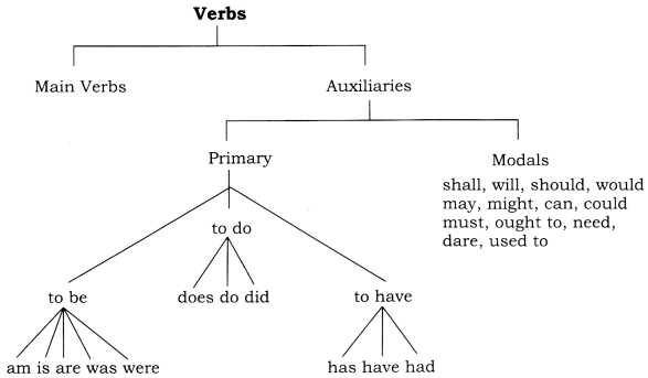 CBSE-Class-8-English-Grammar-Verb
