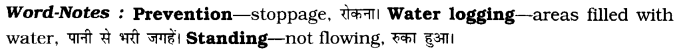 CBSE-Class-8-English-Speech-Writing-1