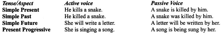 CBSE Class 9 English Grammar - Active And Passive Voice 2
