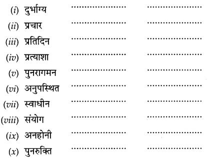 CBSE Class 9 Hindi A व्याकरण उपसर्ग 10