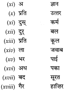CBSE Class 9 Hindi A व्याकरण उपसर्ग 13