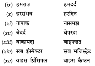 CBSE Class 9 Hindi A व्याकरण उपसर्ग 17