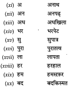 CBSE Class 9 Hindi A व्याकरण उपसर्ग 19