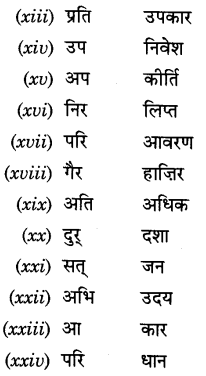 CBSE Class 9 Hindi A व्याकरण उपसर्ग 22