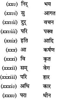 CBSE Class 9 Hindi A व्याकरण उपसर्ग 23