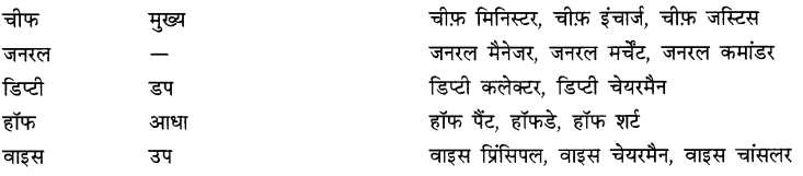 CBSE Class 9 Hindi A व्याकरण उपसर्ग 7