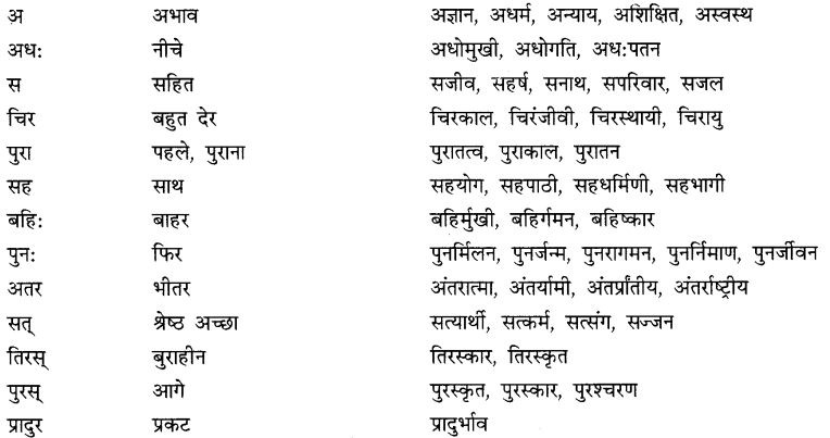 CBSE Class 9 Hindi A व्याकरण उपसर्ग 8
