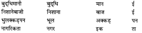CBSE Class 9 Hindi A व्याकरण प्रत्यय 17
