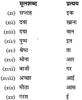 CBSE Class 9 Hindi A व्याकरण प्रत्यय 22