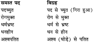 CBSE Class 9 Hindi A व्याकरण समास 11