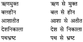 CBSE Class 9 Hindi A व्याकरण समास 12