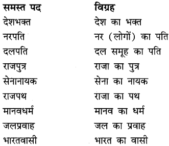 CBSE Class 9 Hindi A व्याकरण समास 13