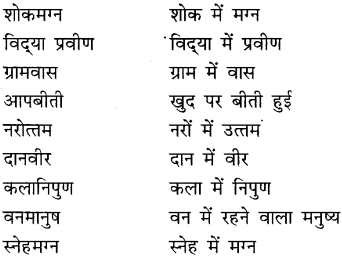 CBSE Class 9 Hindi A व्याकरण समास 16