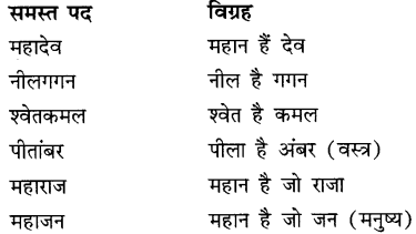 CBSE Class 9 Hindi A व्याकरण समास 19
