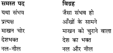 CBSE Class 9 Hindi A व्याकरण समास 2
