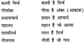 CBSE Class 9 Hindi A व्याकरण समास 20