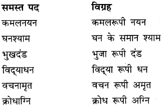 CBSE Class 9 Hindi A व्याकरण समास 21