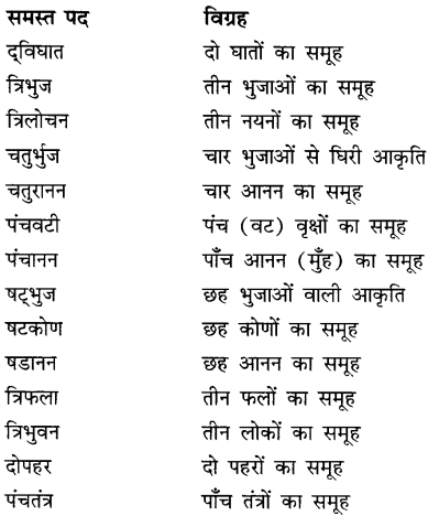 CBSE Class 9 Hindi A व्याकरण समास 23