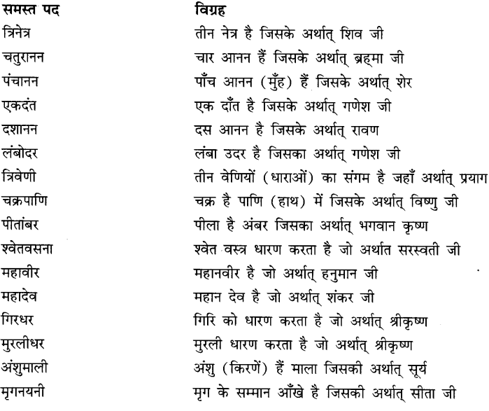 CBSE Class 9 Hindi A व्याकरण समास 25