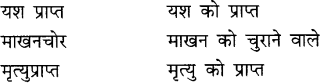 CBSE Class 9 Hindi A व्याकरण समास 6