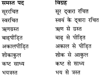 CBSE Class 9 Hindi A व्याकरण समास 7