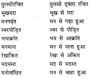 CBSE Class 9 Hindi A व्याकरण समास 8