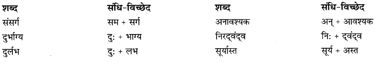 CBSE Class 9 Hindi B व्याकरण संधि 11